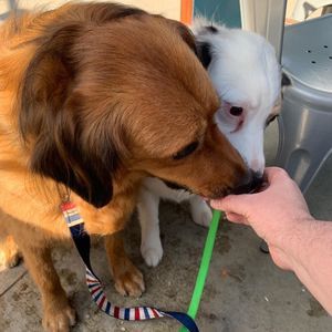 Meet your Posher, Jenifer